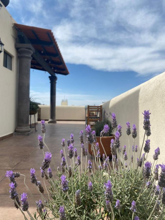 Hotel La Lejona San Miguel de Allende Dış mekan fotoğraf